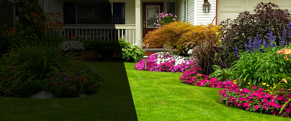 Hayti Landscapers