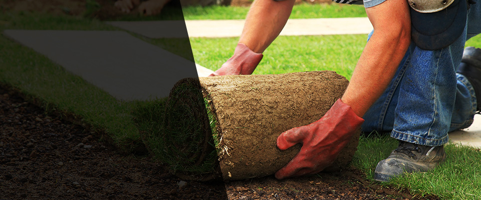 Hayti Landscapers